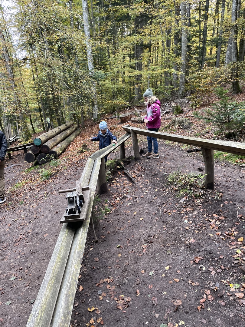 KugelWaldPfad Birkendorf  - Galeriebild 9