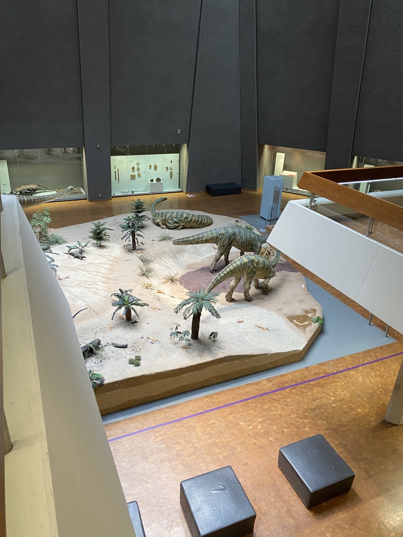 Naturkundemuseum Stuttgart - Galeriebild 2