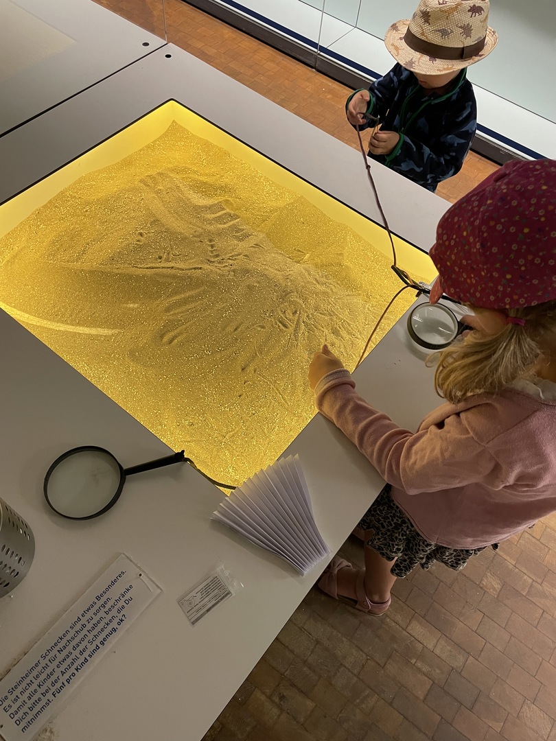 Naturkundemuseum Stuttgart - Galeriebild 14