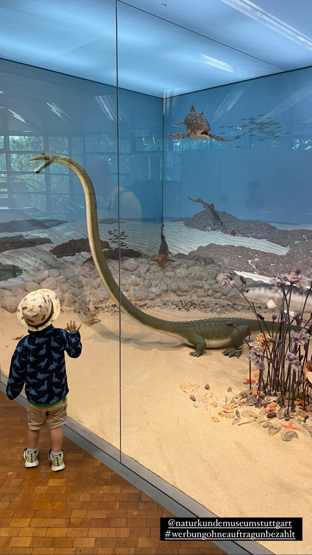 Naturkundemuseum Stuttgart - Galeriebild 18