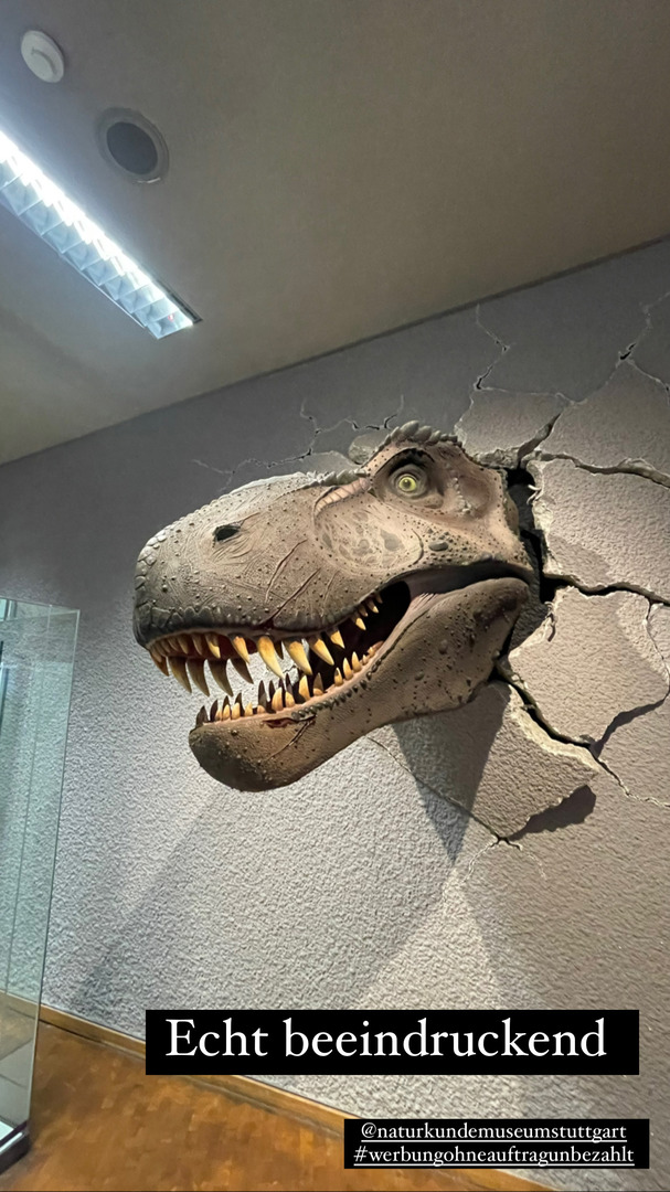 Naturkundemuseum Stuttgart - Galeriebild 20