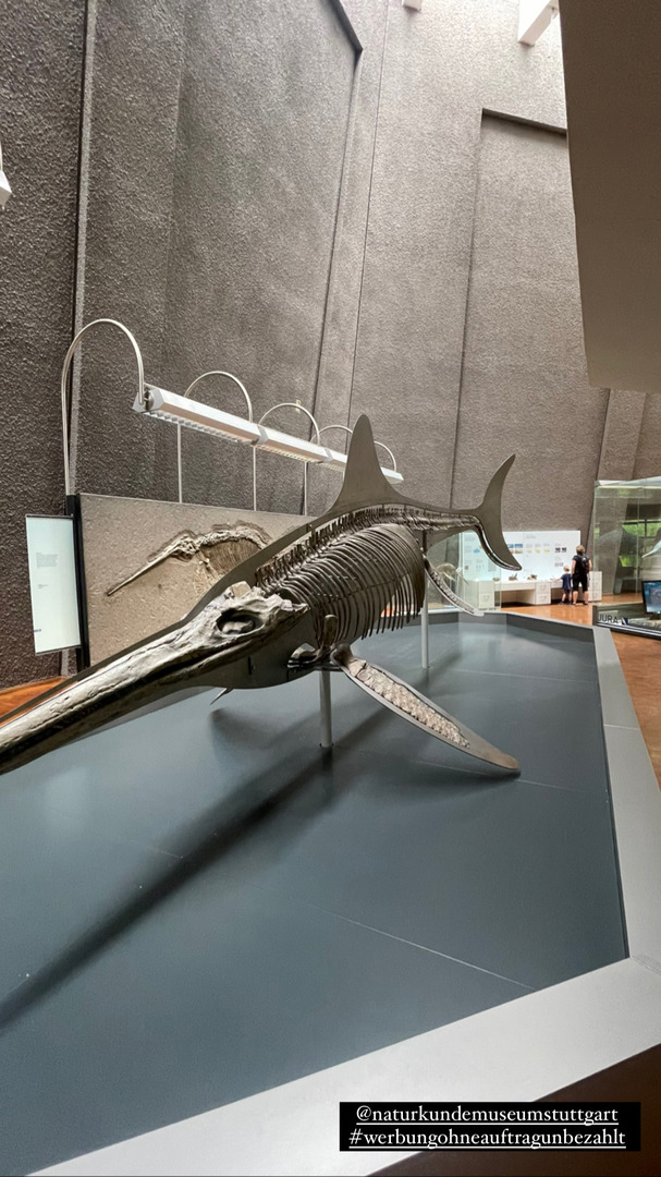 Naturkundemuseum Stuttgart - Galeriebild 21