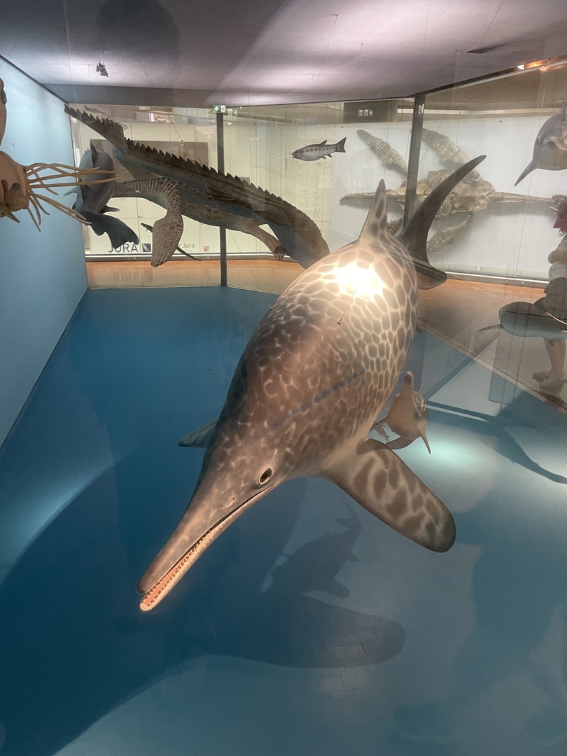 Naturkundemuseum Stuttgart - Galeriebild 10