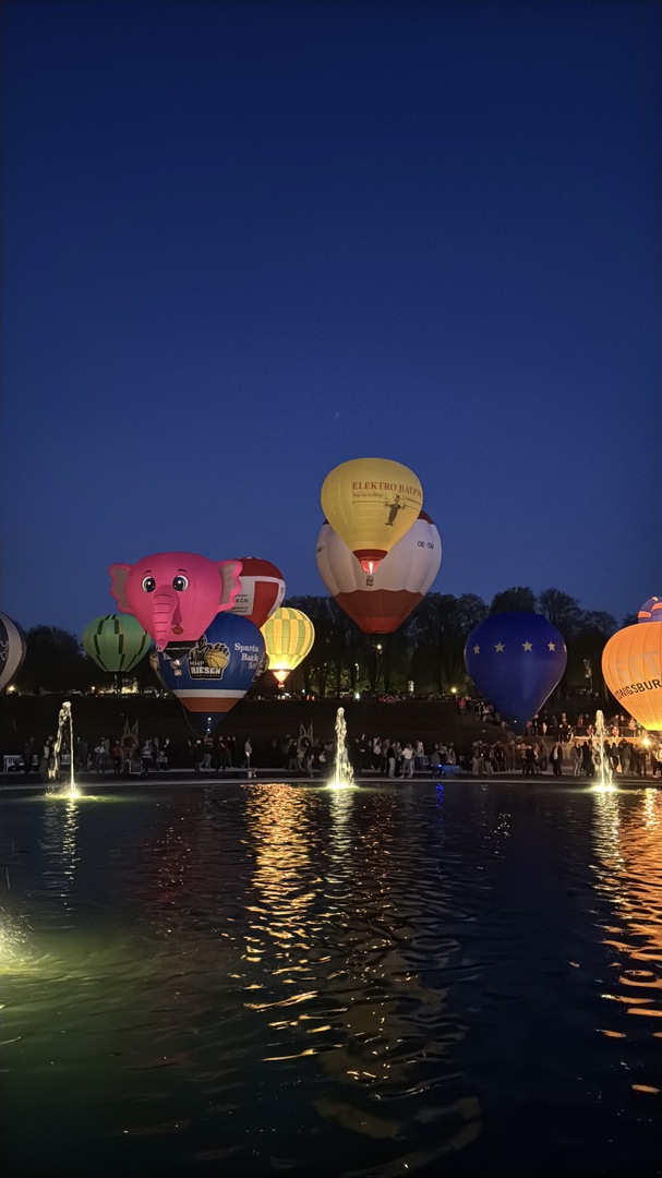 Blühendes Barock Ludwigsburg - Galeriebild 31