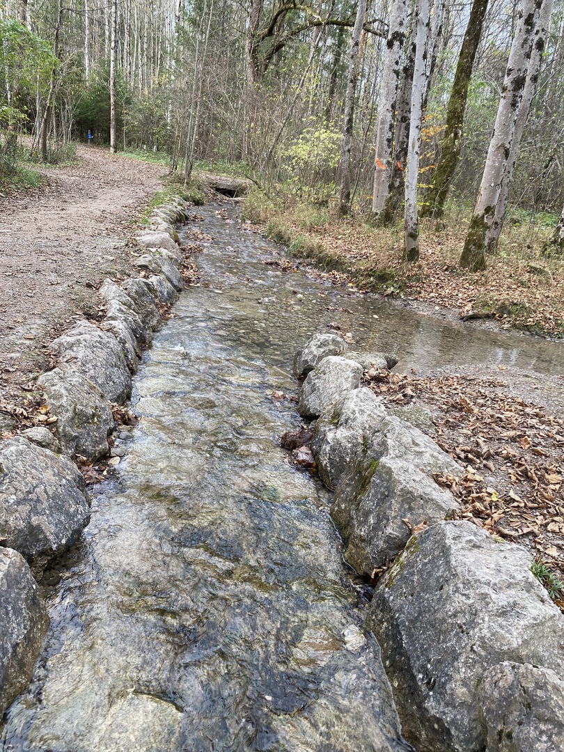 Walderlebniszentrum Füssen - Galeriebild 11