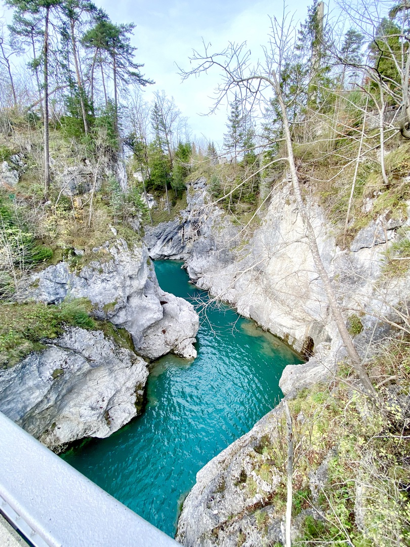 Walderlebniszentrum Füssen - Galeriebild 5