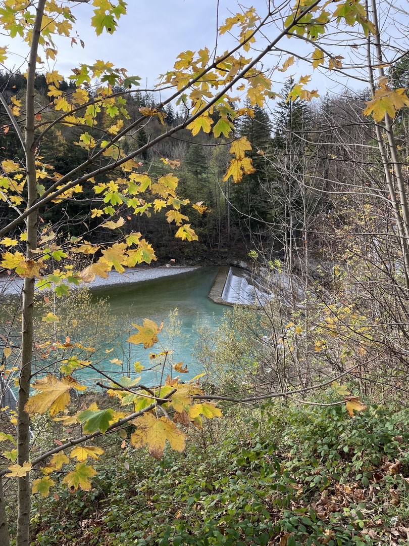 Walderlebniszentrum Füssen - Galeriebild 8