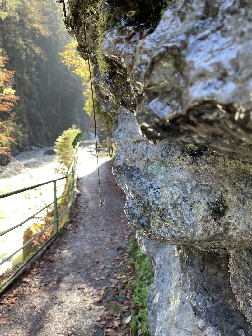 Breitachklamm Oberstdorf - Galeriebild 14