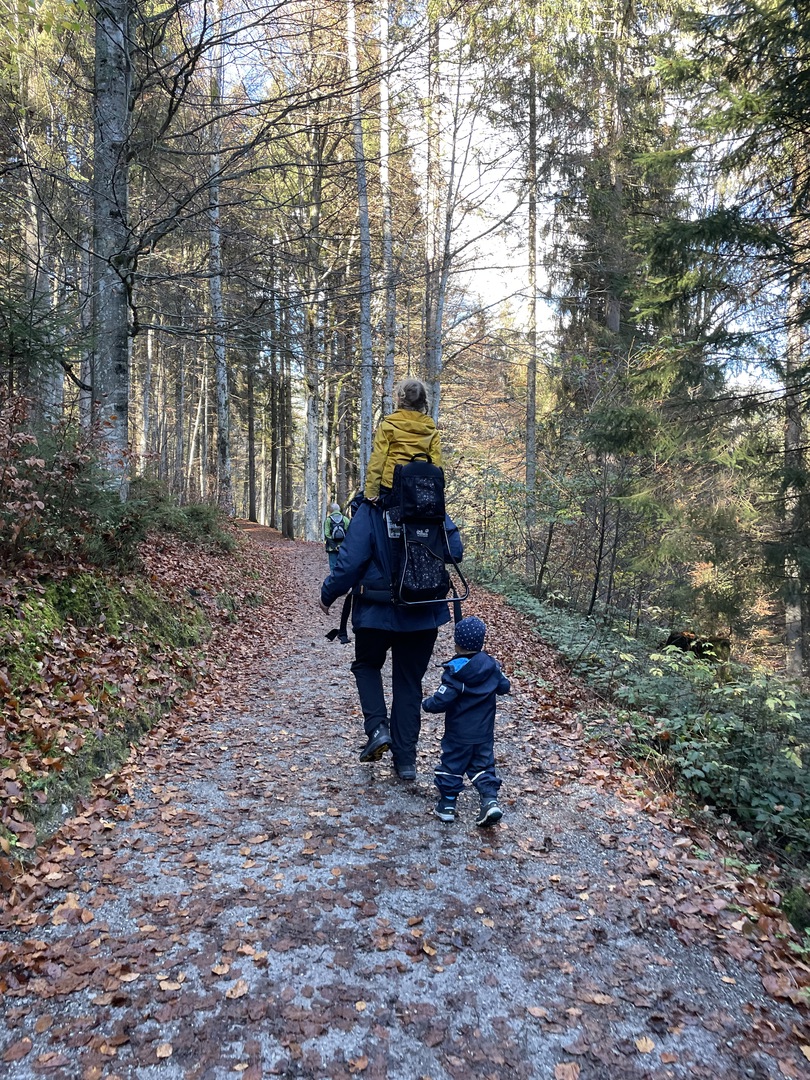 Breitachklamm Oberstdorf - Galeriebild 7
