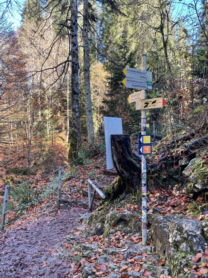 Breitachklamm Oberstdorf - Galeriebild 10