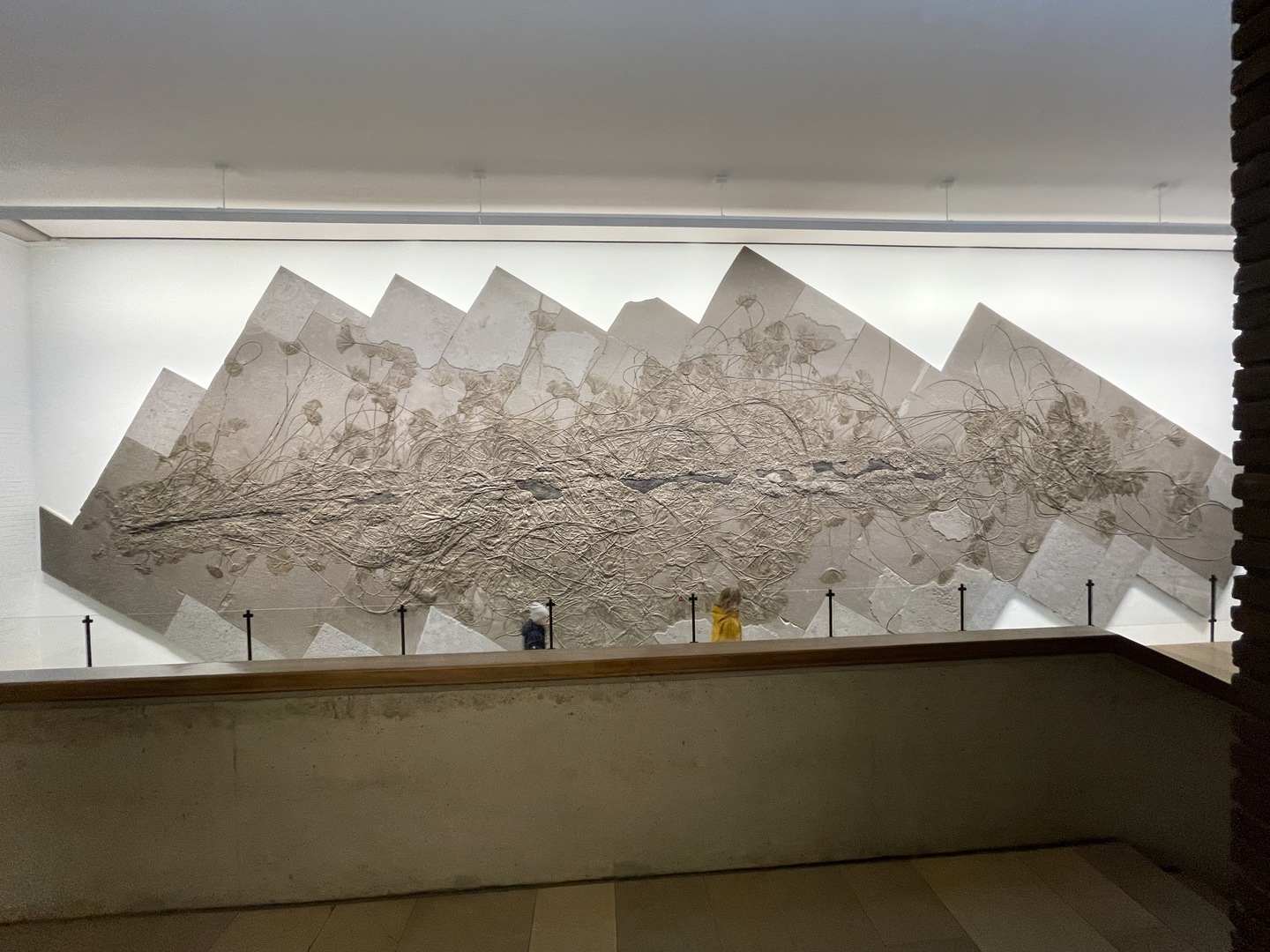 Urweltmuseum Hauff Holzmaden - Galeriebild 13