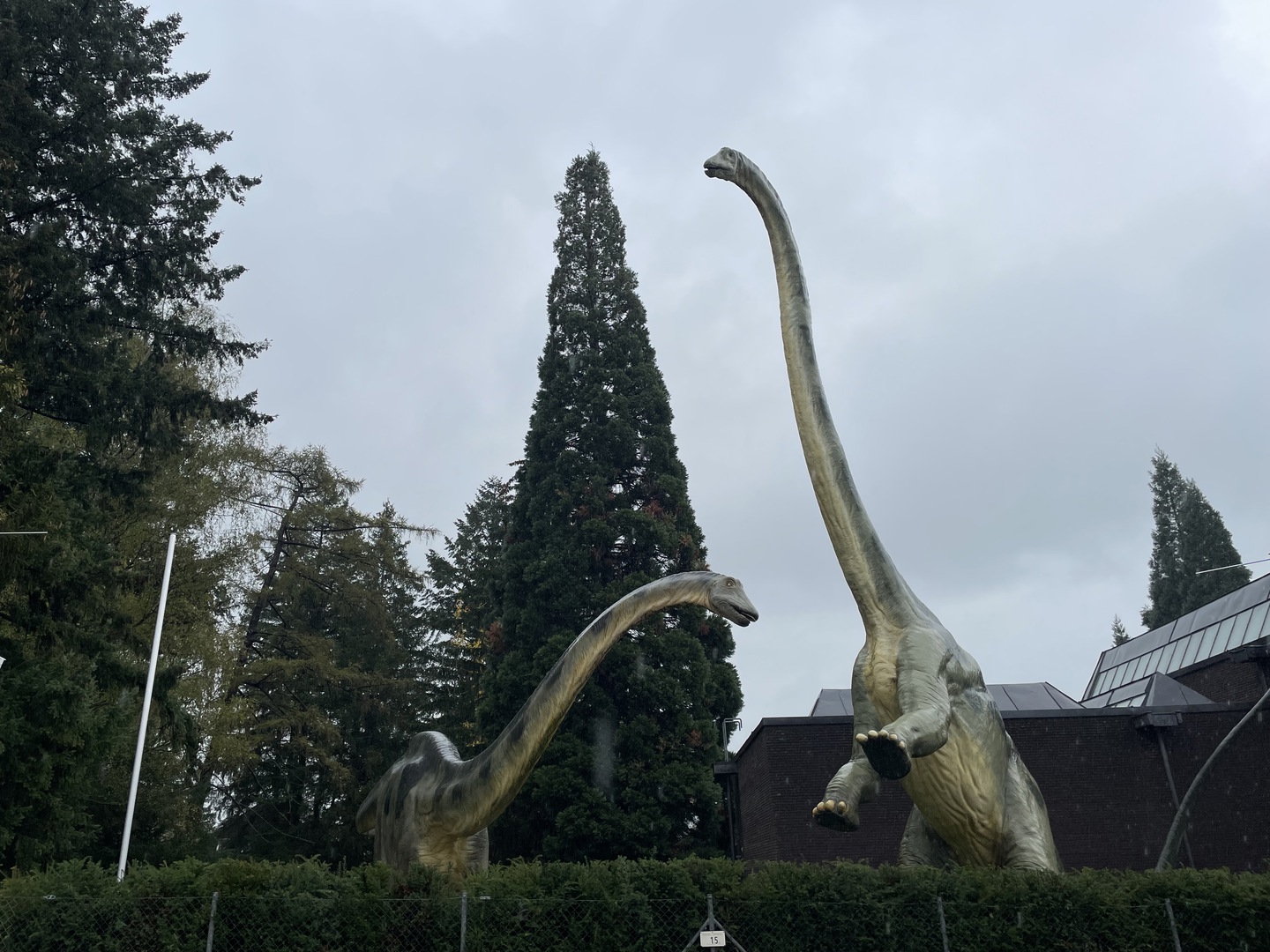 Urweltmuseum Hauff Holzmaden - Hauptbild