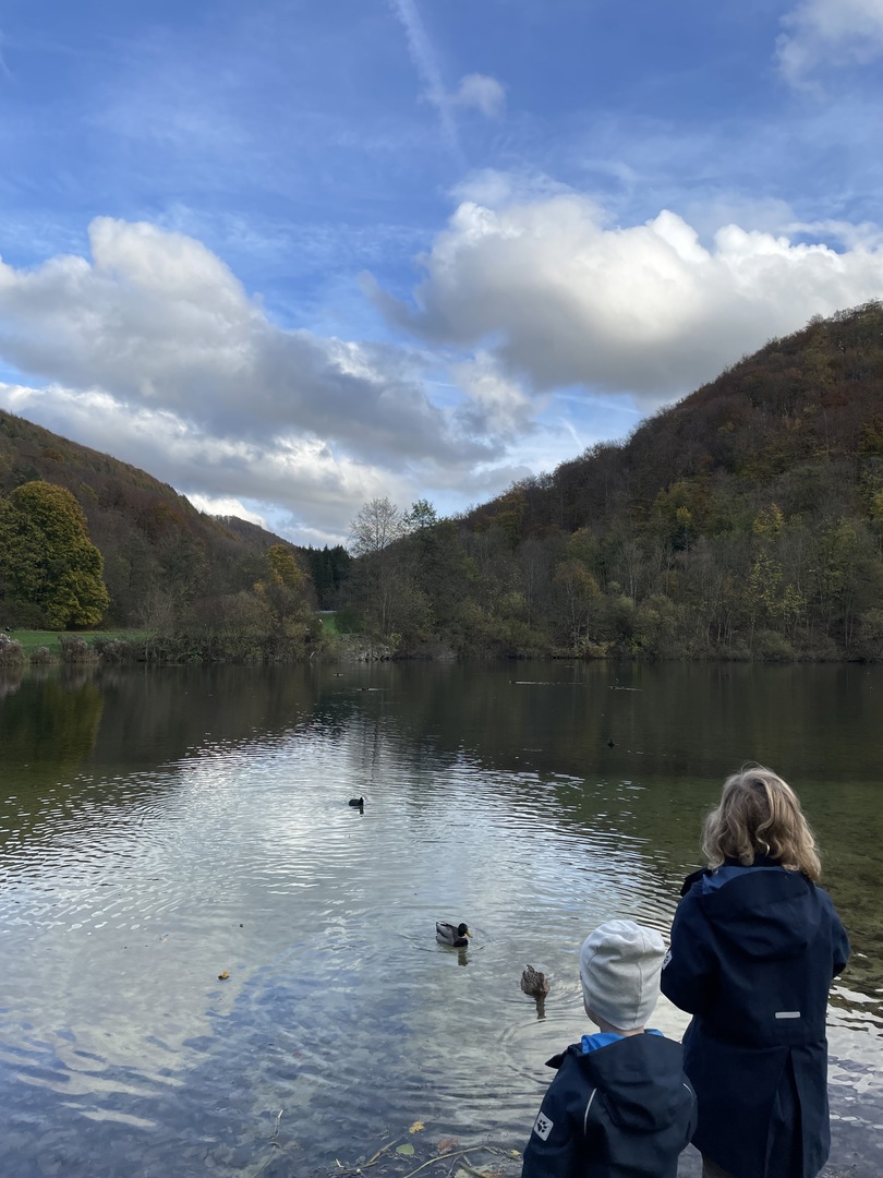 Gönninger Wasserfälle - Galeriebild 5