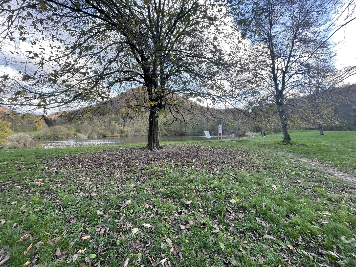 Gönninger Wasserfälle - Galeriebild 8