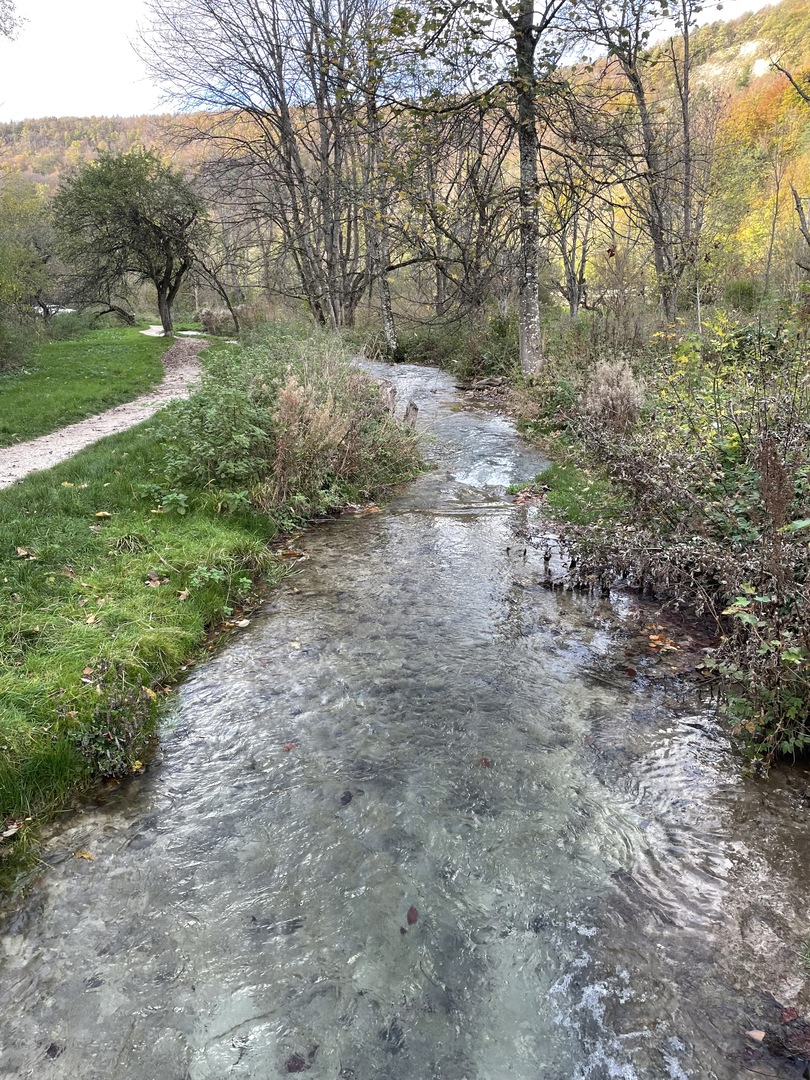 Gönninger Wasserfälle - Galeriebild 9