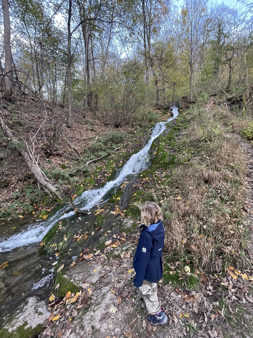 Gönninger Wasserfälle - Hauptbild