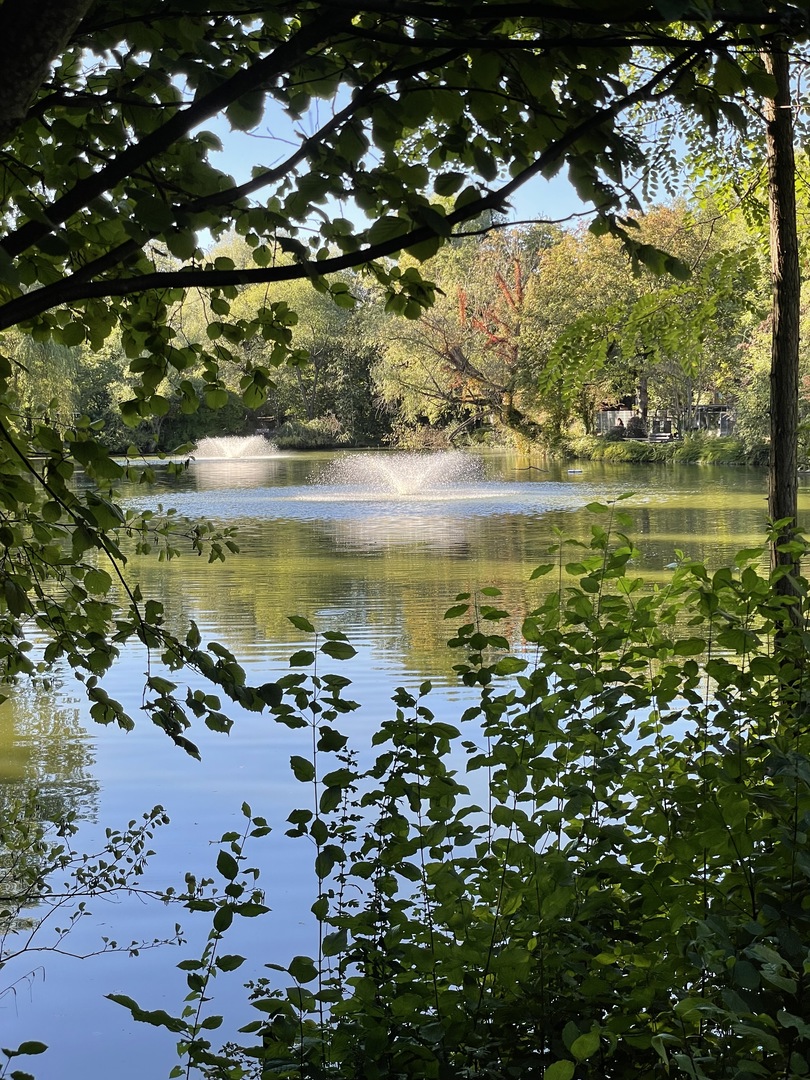 Tierpark Nymphaea - Galeriebild 8
