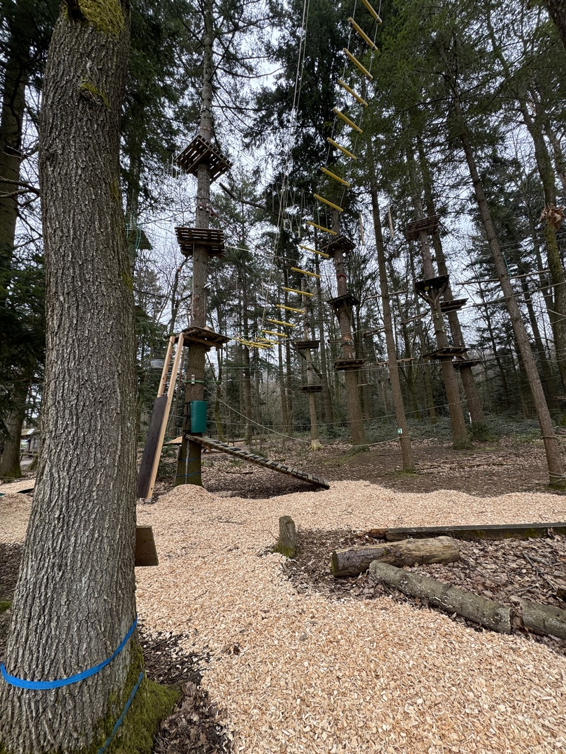 Wildpark Pforzheim - Galeriebild 6