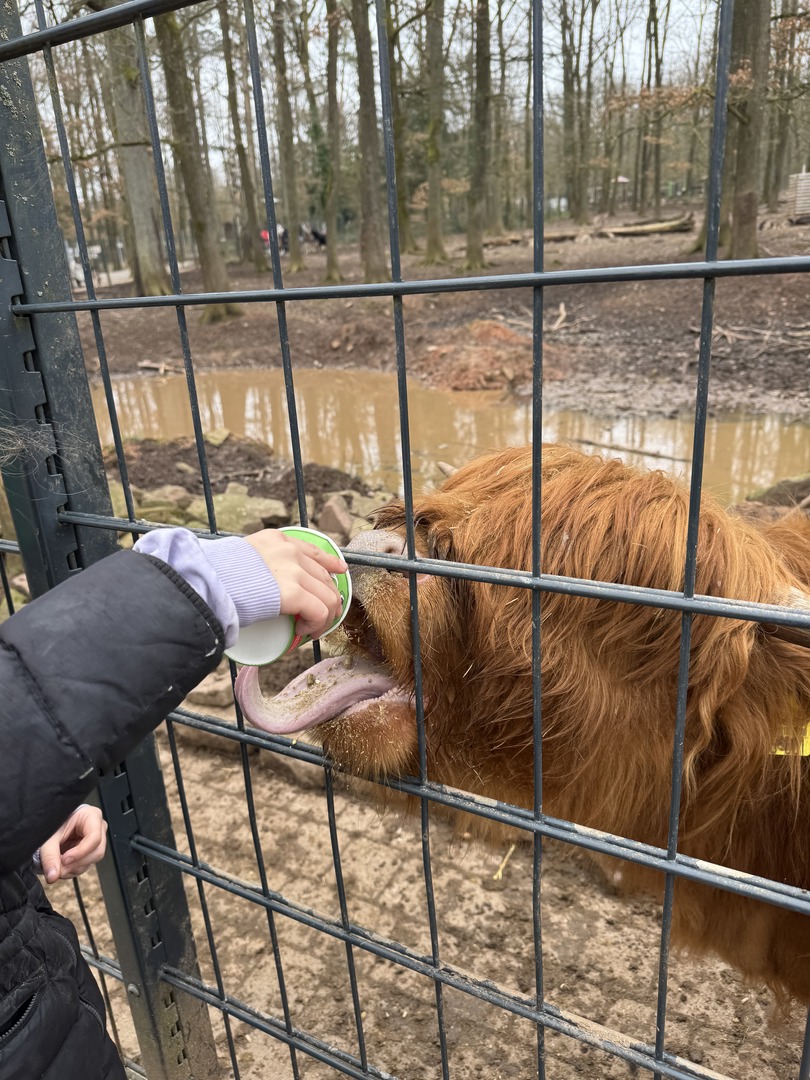 Wildpark Pforzheim - Hauptbild