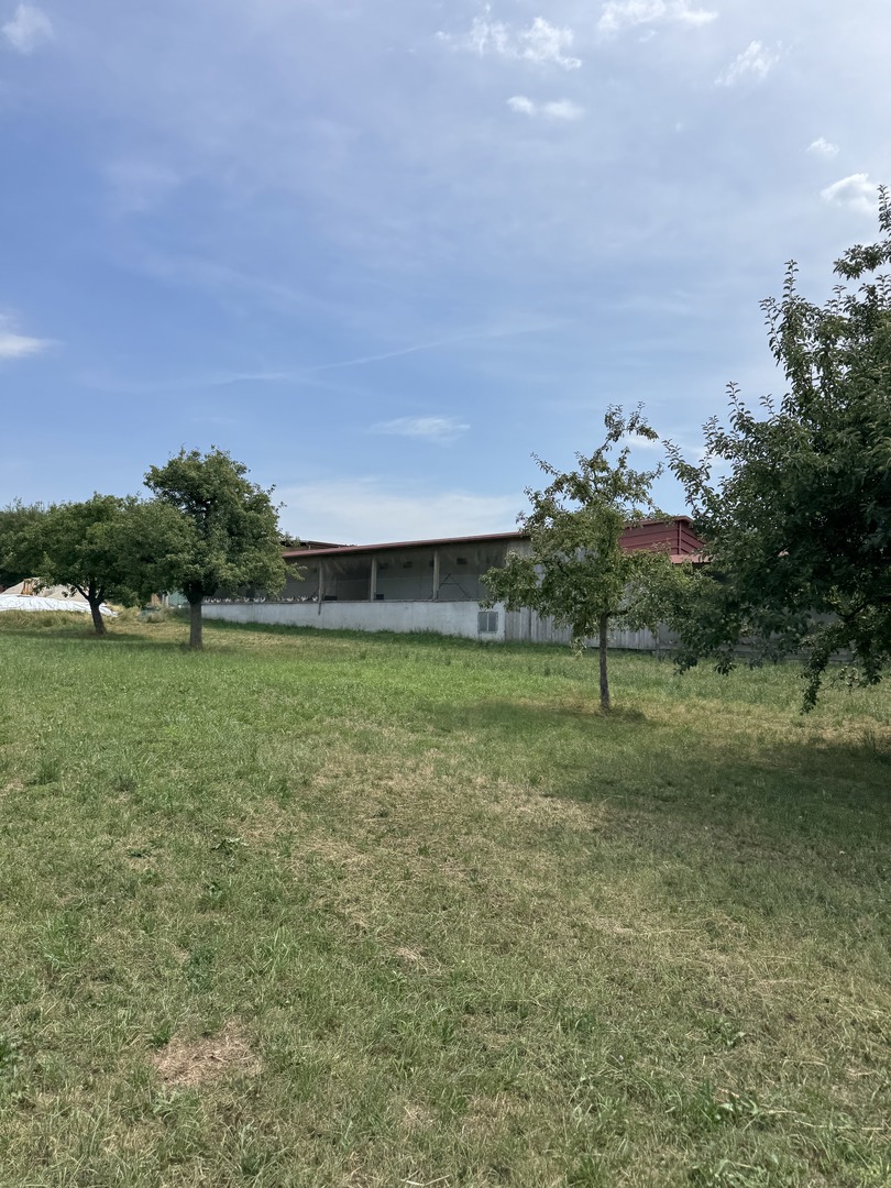 Haldenhof - Galeriebild 1