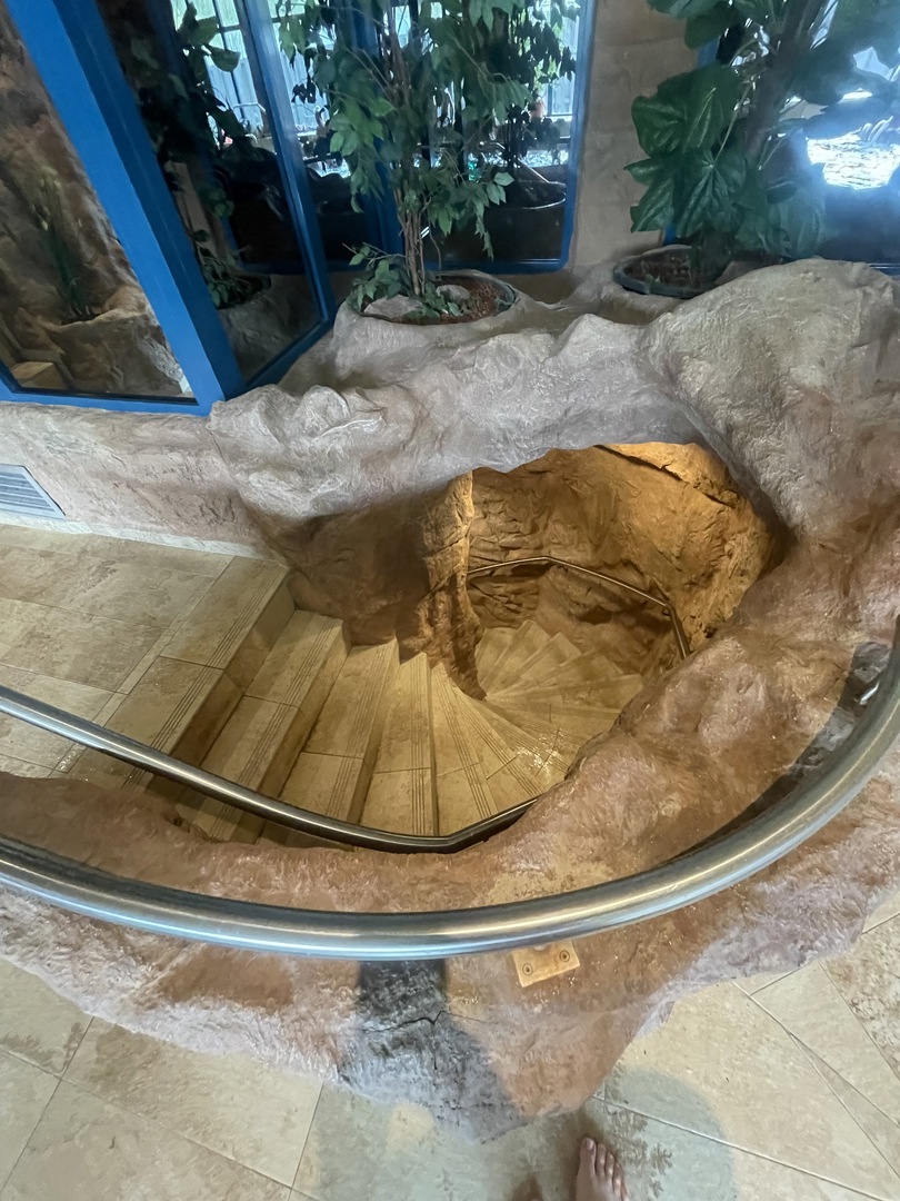 Schwarzwälder Hof  - Galeriebild 12