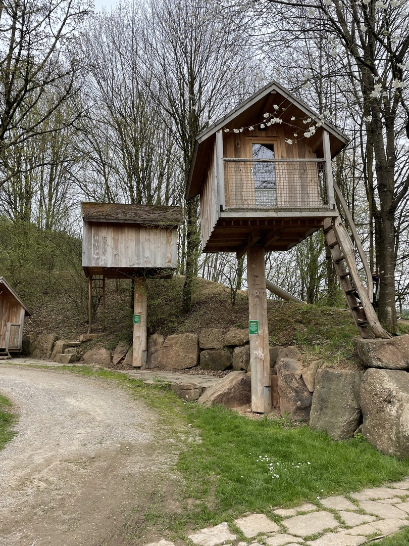 Schwarzwälder Hof  - Galeriebild 25