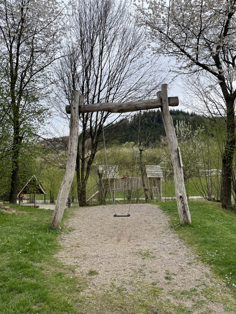 Schwarzwälder Hof  - Galeriebild 26