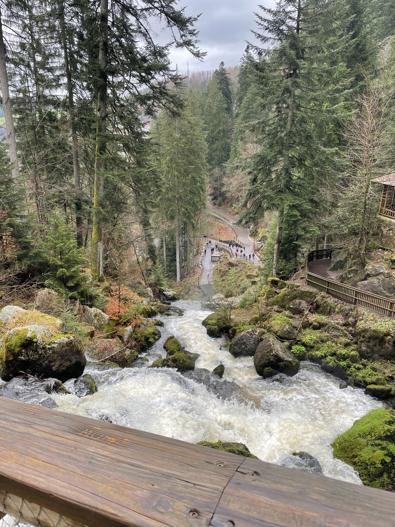Triberger Wasserfälle - Galeriebild 2