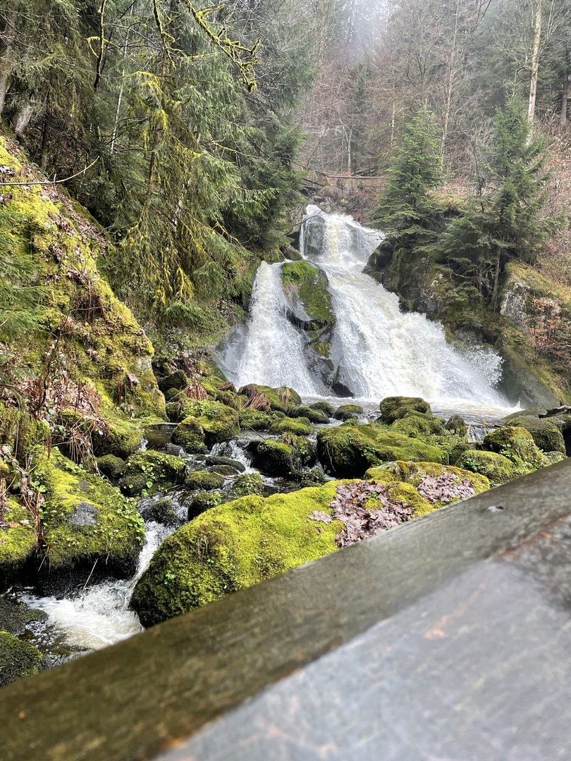 Triberger Wasserfälle - Galeriebild 3