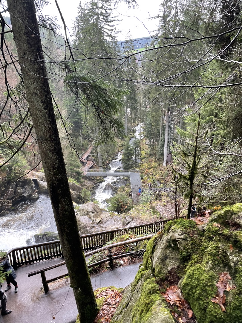 Triberger Wasserfälle - Galeriebild 5