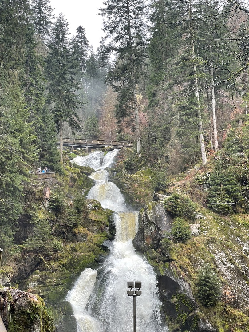 Triberger Wasserfälle - Galeriebild 7
