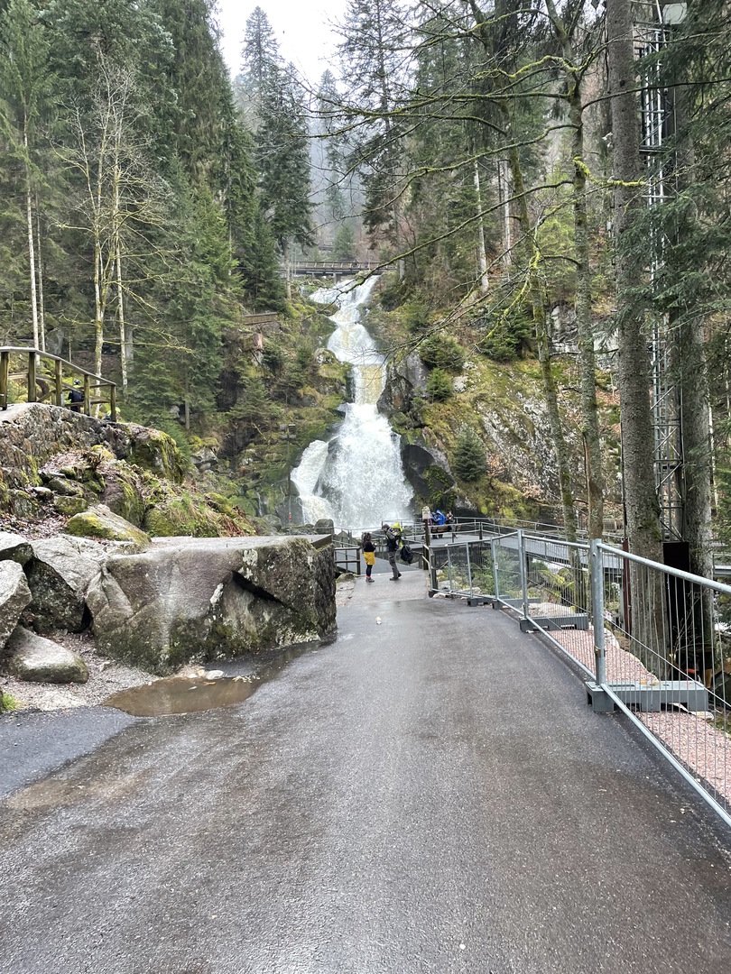 Triberger Wasserfälle - Galeriebild 8