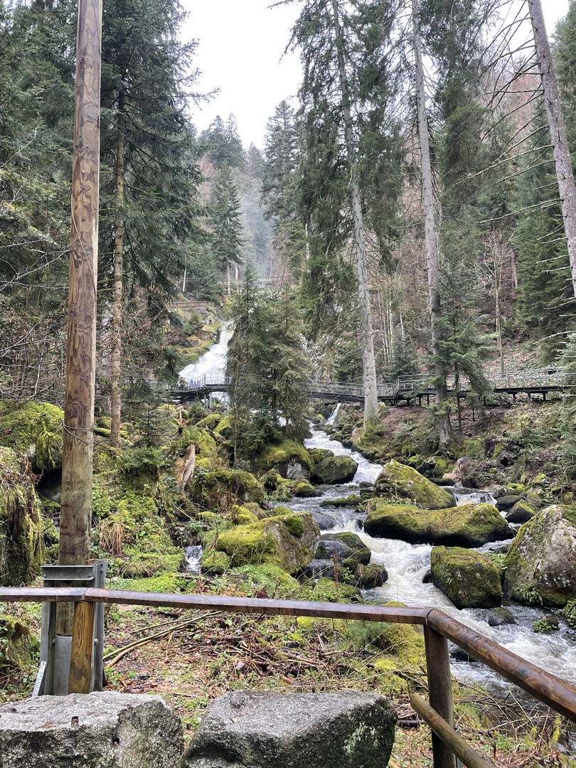 Triberger Wasserfälle - Galeriebild 10