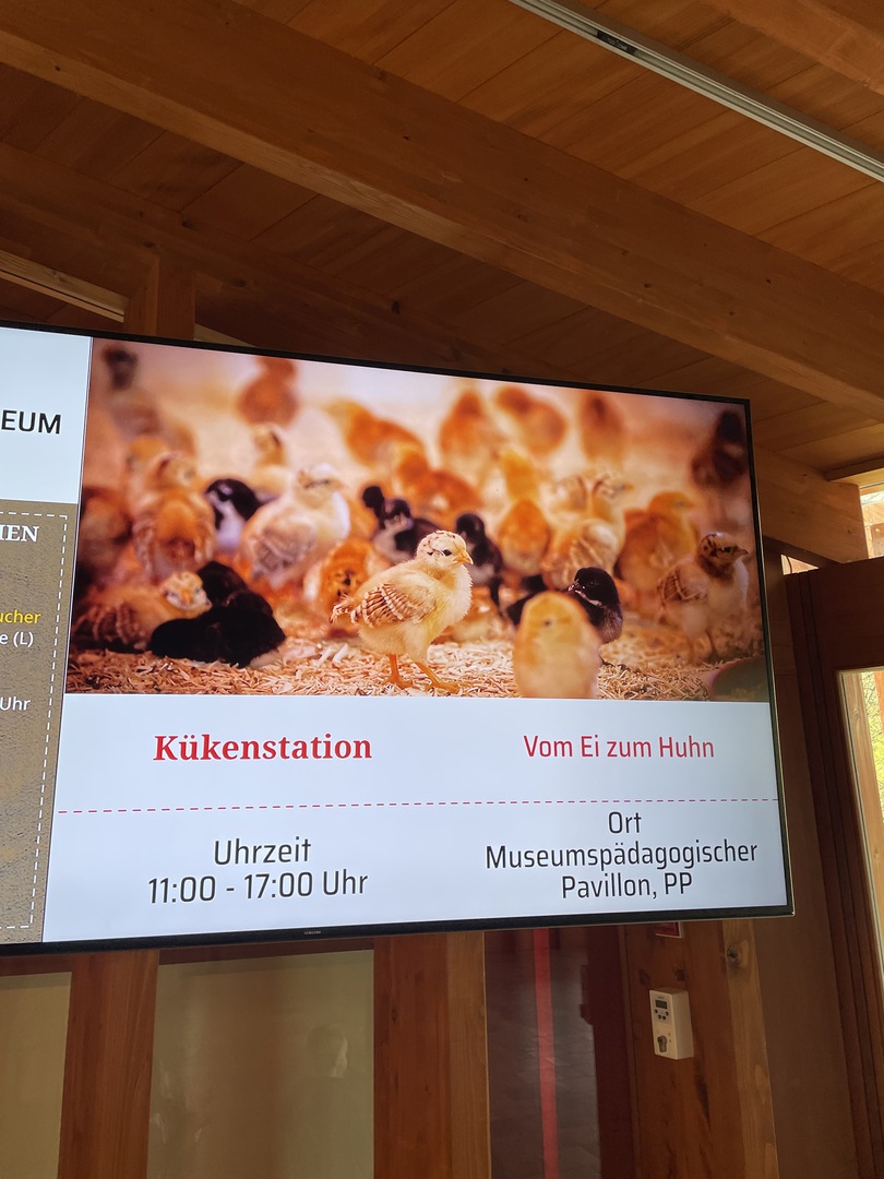 Schwarzwälder Freilichtmuseum Vogtsbauernhof Gutach - Galeriebild 12