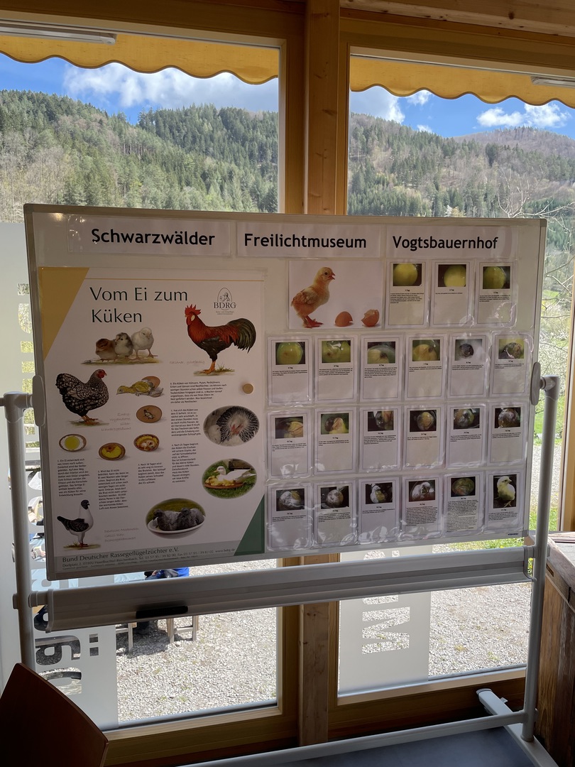 Schwarzwälder Freilichtmuseum Vogtsbauernhof Gutach - Galeriebild 9