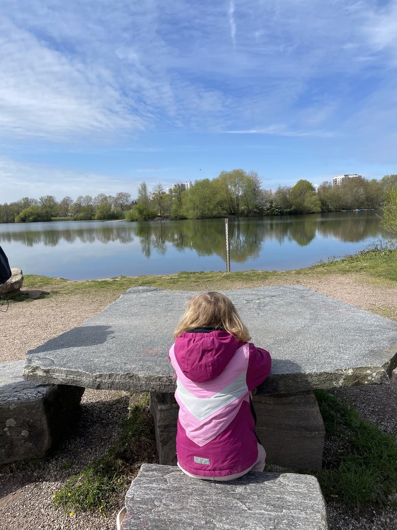 Gifiz-See Offenburg mit Tiergehege un Wasserspielplatz - Hauptbild